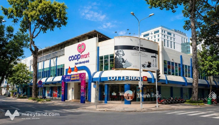 Bất động sản tại TP. Hồ Chí Minh - ảnh 1