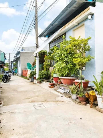 Bất động sản tại Long An - ảnh 1
