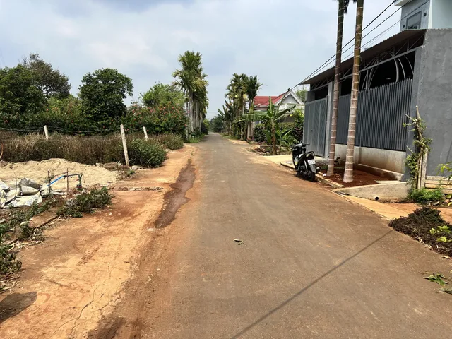 Bất động sản tại Đắk Lắk - ảnh 1