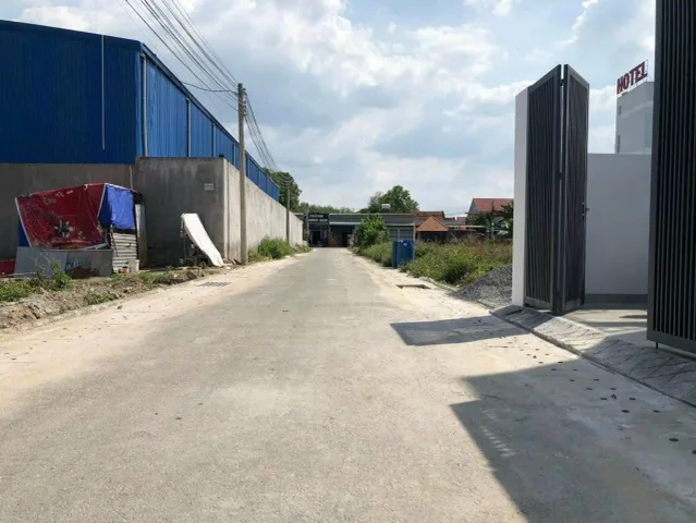 Bất động sản tại Bình Dương - ảnh 1