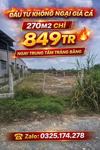 Bất động sản tại Tây Ninh - ảnh 1