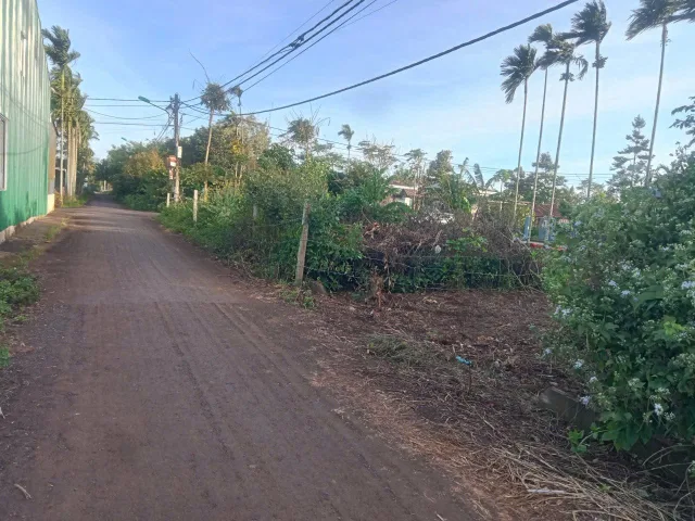 Bất động sản tại Đắk Lắk - ảnh 1