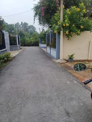 Bất động sản tại Bình Dương - ảnh 1
