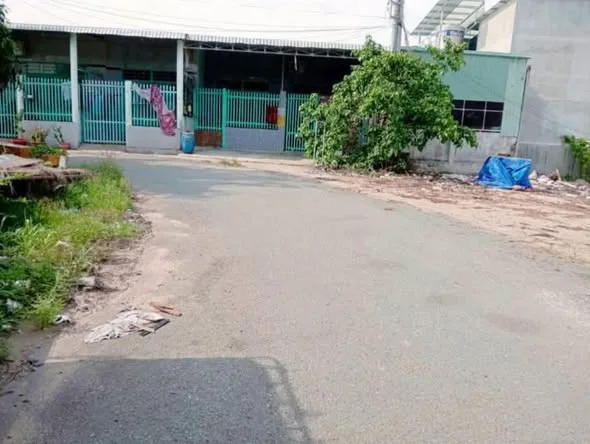 Bất động sản tại Bình Dương - ảnh 1