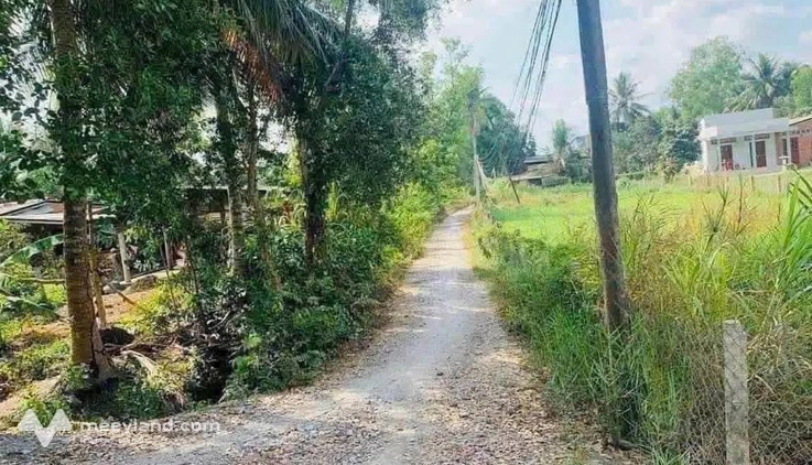 Bất động sản tại Long An - ảnh 1