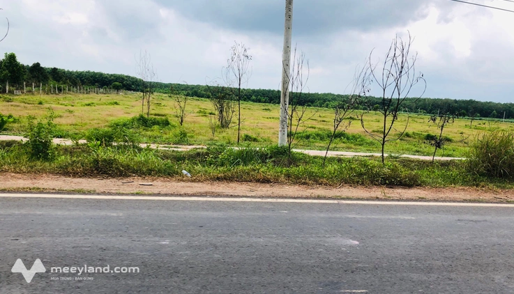 Bất động sản tại Bình Phước - ảnh 1