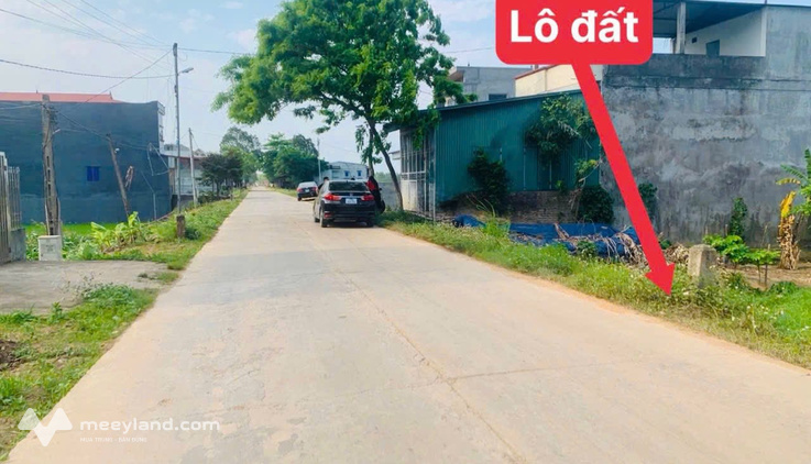 Bất động sản tại Vĩnh Phúc - ảnh 1