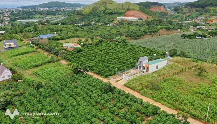 Bất động sản tại Lâm Đồng - ảnh 1