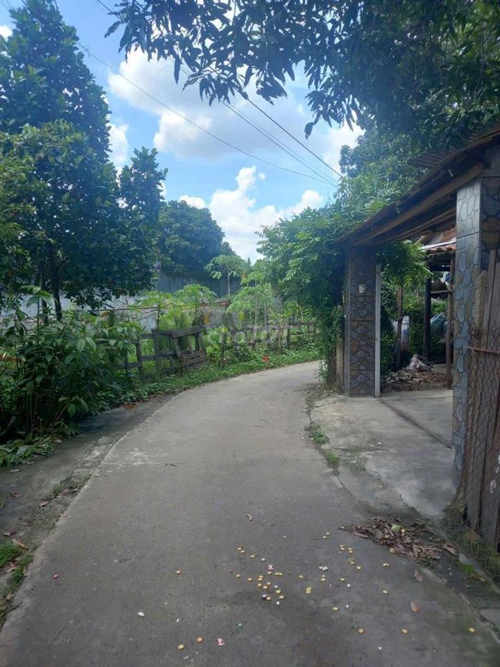 Bất động sản tại Bình Dương - ảnh 1