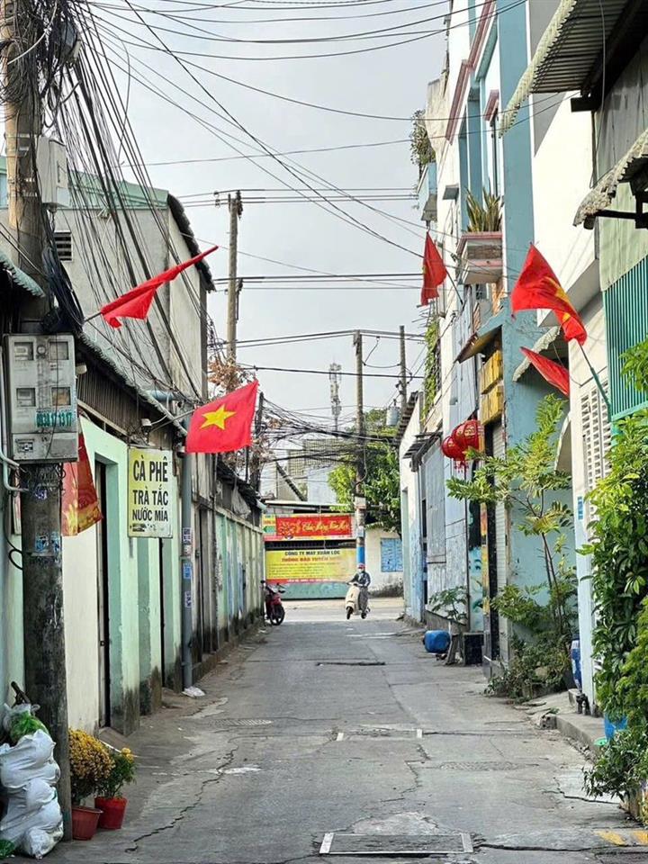 Bất động sản tại Bình Dương - ảnh 1
