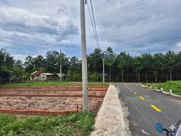 Bất động sản tại Bình Dương - ảnh 1