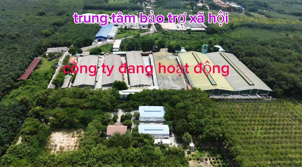 Bất động sản tại Bình Dương - ảnh 1