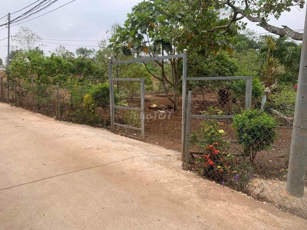 Bất động sản tại Bình Dương - ảnh 1