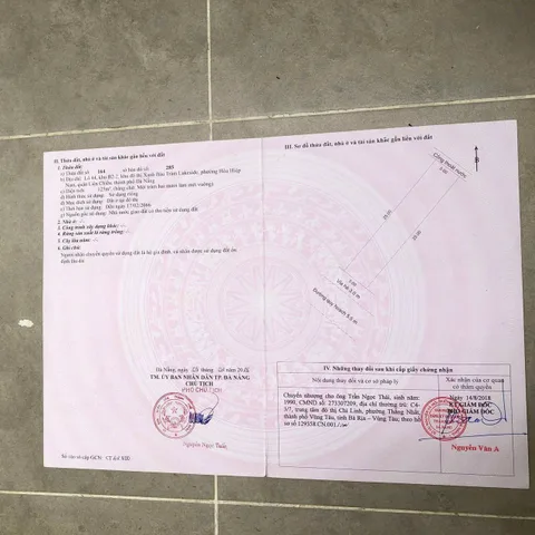 Bất động sản tại Đà Nẵng - ảnh 1