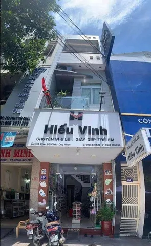 Bất động sản tại Bình Định - ảnh 1