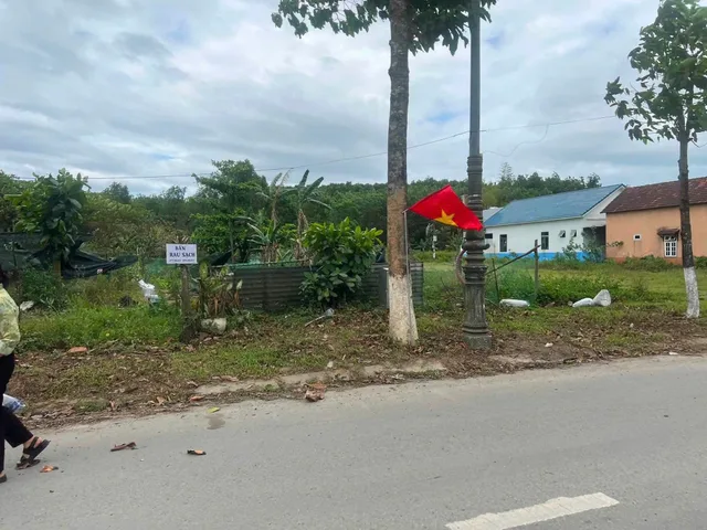 Bất động sản tại Đà Nẵng - ảnh 1