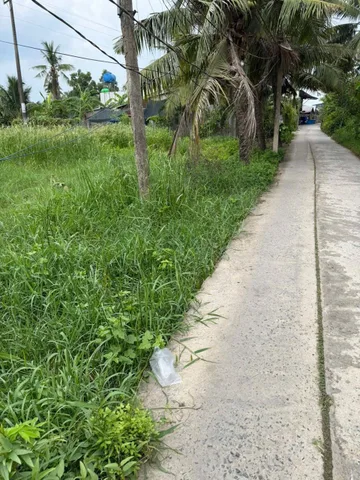 Bất động sản tại Vĩnh Long - ảnh 1