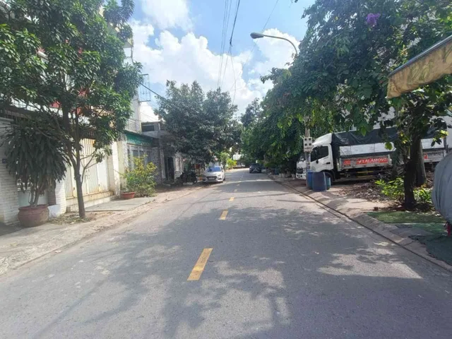 Bất động sản tại Bình Dương - ảnh 1
