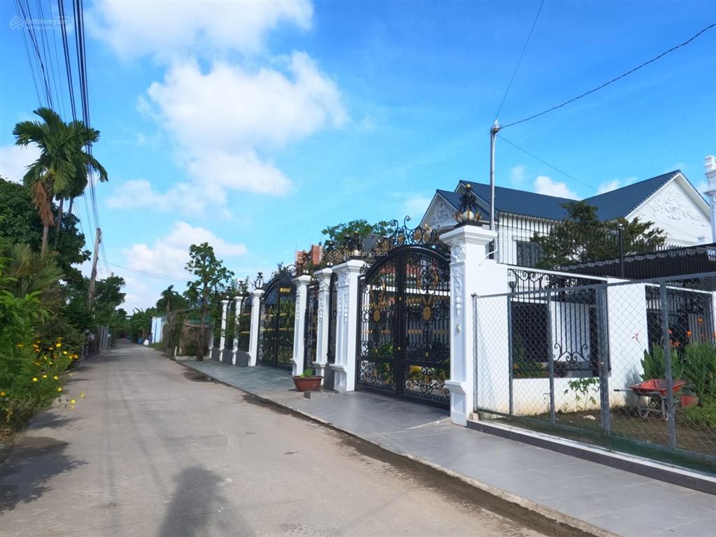Bất động sản tại Bình Dương - ảnh 1