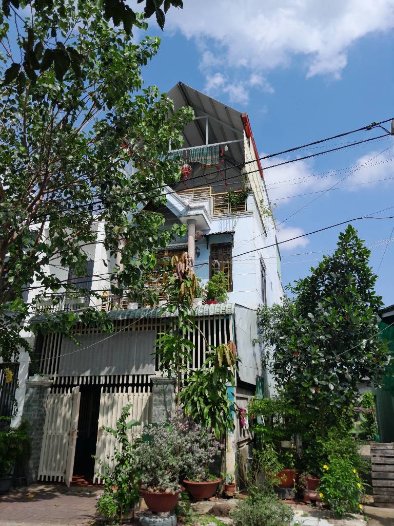 Bất động sản tại Long An - ảnh 1