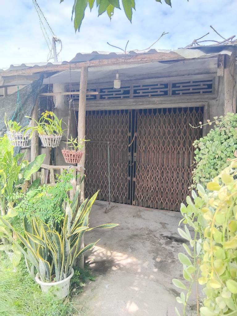 Bất động sản tại Đồng Tháp - ảnh 1