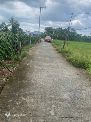 Bất động sản tại Long An - ảnh 1