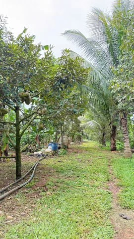 Bất động sản tại Đắk Lắk - ảnh 1