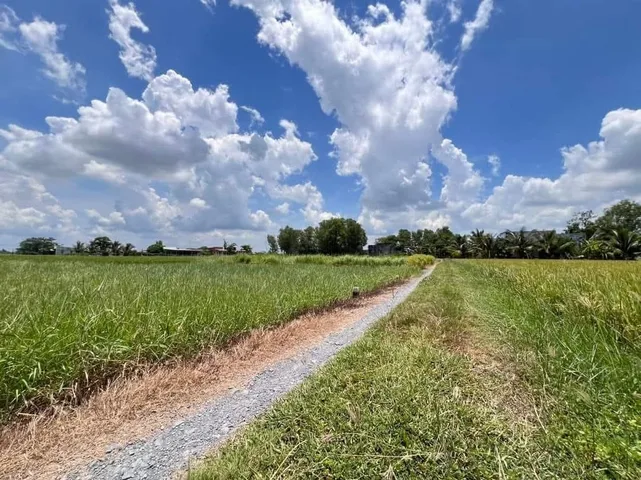 Bất động sản tại Tây Ninh - ảnh 1