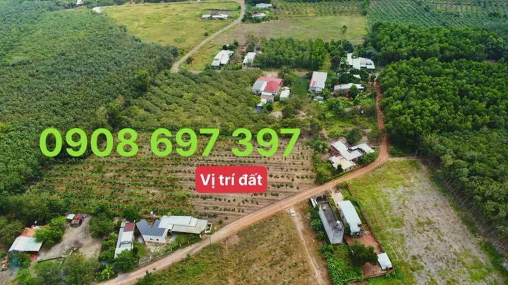 Bất động sản tại Đồng Nai - ảnh 1