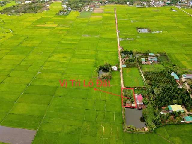 Bất động sản tại Đắk Lắk - ảnh 1