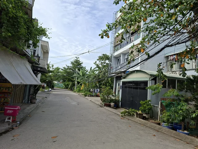 Bất động sản tại TP. Hồ Chí Minh - ảnh 1