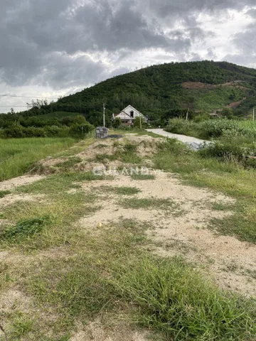 Bất động sản tại Khánh Hòa - ảnh 1