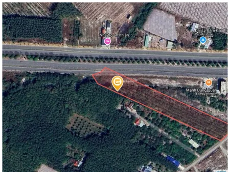 Bất động sản tại Bình Phước - ảnh 1