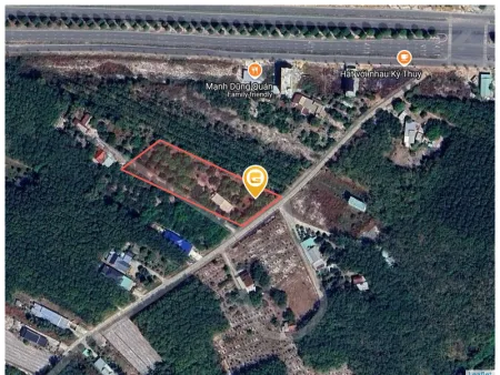 Bất động sản tại Bình Phước - ảnh 1