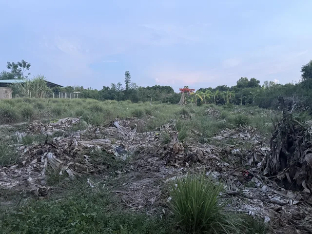 Bất động sản tại Tây Ninh - ảnh 1