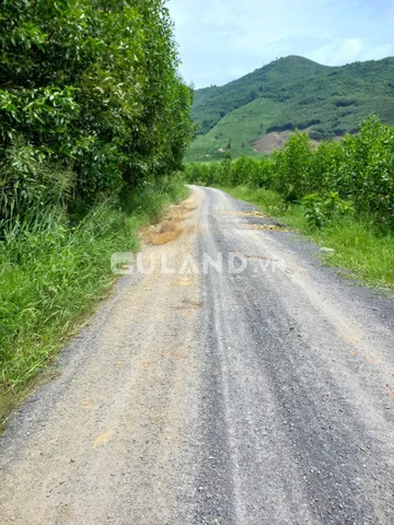 Bất động sản tại Khánh Hòa - ảnh 1