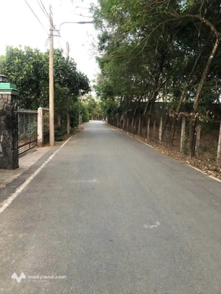 Bất động sản tại Bình Dương - ảnh 1