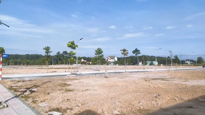 Bất động sản tại TP. Hồ Chí Minh - ảnh 1