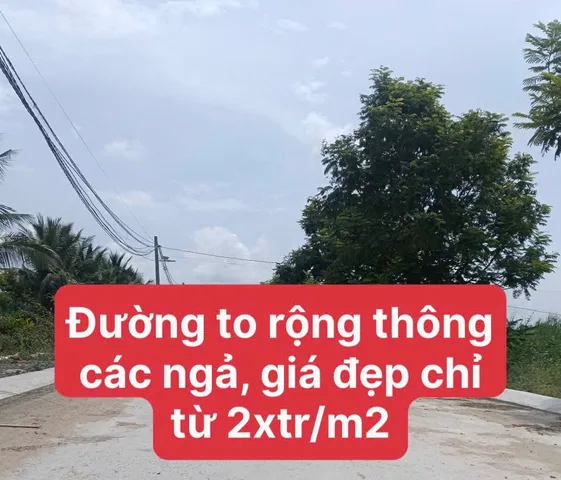Bất động sản tại Long An - ảnh 1