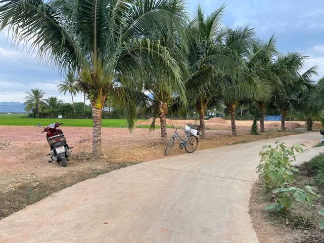 Bất động sản tại Khánh Hòa - ảnh 1