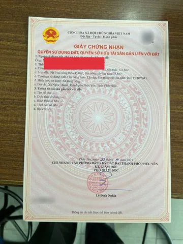 Bất động sản tại Phú Thọ - ảnh 1
