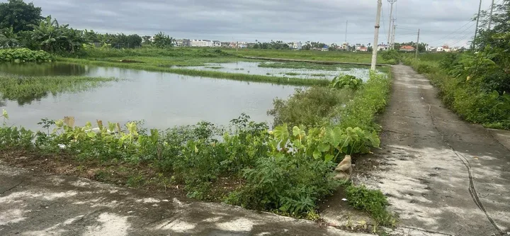 Bất động sản tại Hải Phòng - ảnh 1