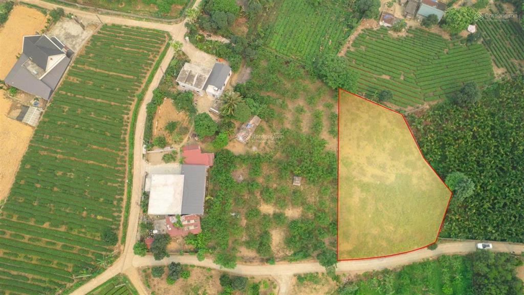 Bất động sản tại Hòa Bình - ảnh 1