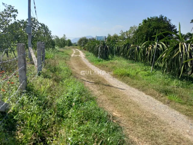 Bất động sản tại Bình Thuận - ảnh 1