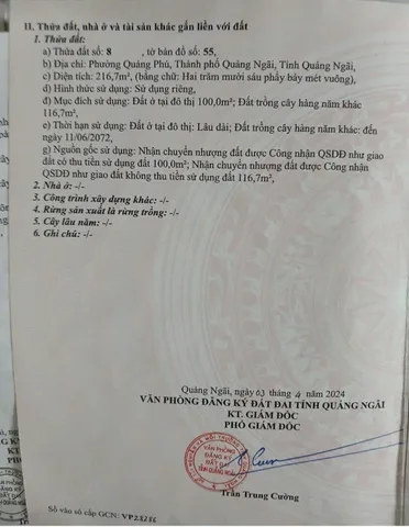 Bất động sản tại Quảng Ngãi - ảnh 1