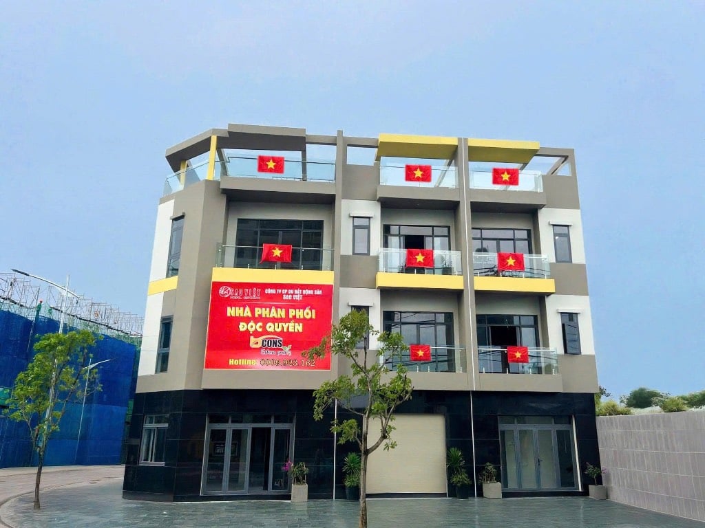 Bất động sản tại Bình Dương - ảnh 1