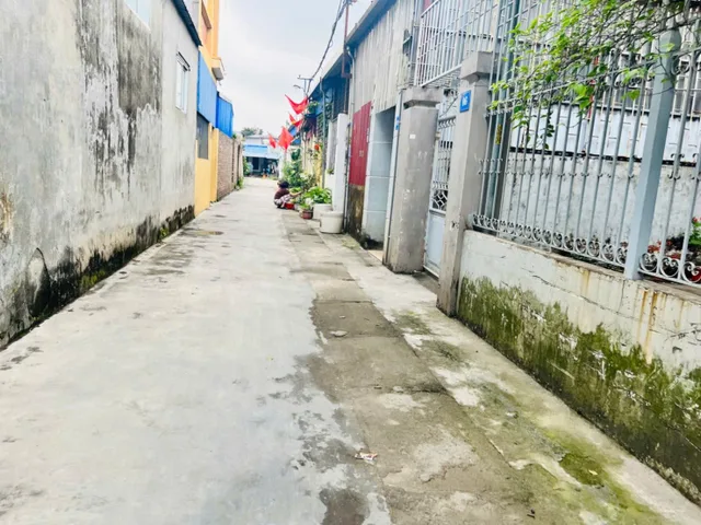 Bất động sản tại Hải Phòng - ảnh 1