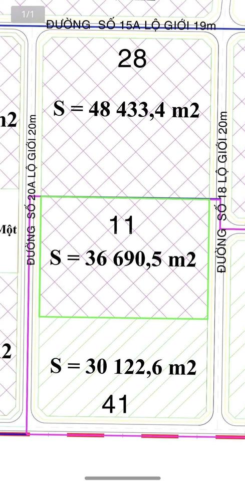 Bất động sản tại Long An - ảnh 1