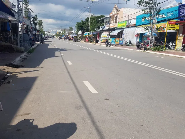 Bất động sản tại Bình Dương - ảnh 1