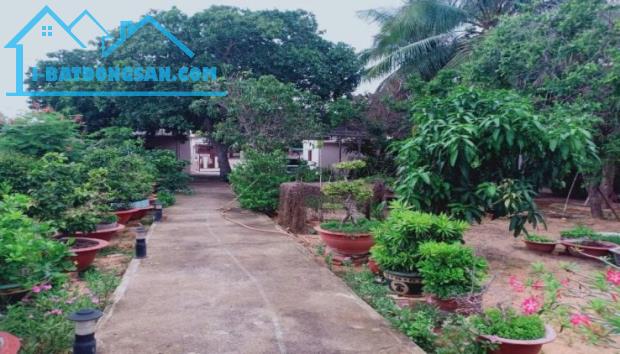 Bất động sản tại Bình Thuận - ảnh 1